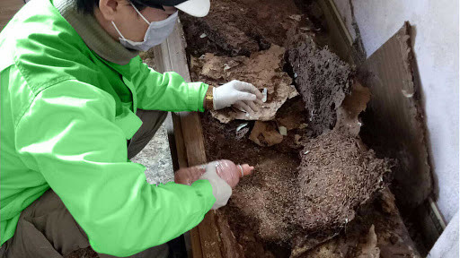 Ưu điểm của các phương pháp này là không đòi hỏi kinh nghiệm, kỹ thuật về diệt mối, thực hiện dễ dàng, tuy nhiên hiệu quả không cao, chỉ giải quyết tạm thời và cục bộ.