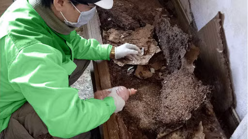 Ưu điểm của các phương pháp này là không đòi hỏi kinh nghiệm, kỹ thuật về diệt mối, thực hiện dễ dàng, tuy nhiên hiệu quả không cao, chỉ giải quyết tạm thời và cục bộ.