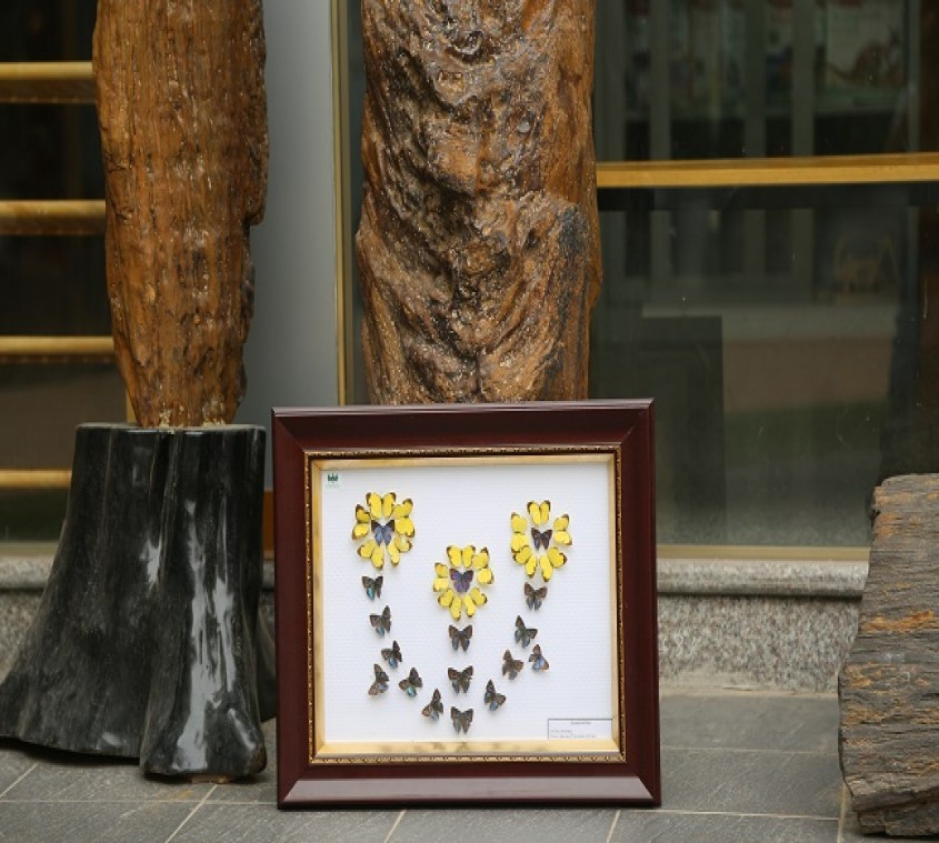 Nha con trung hoc say me ve tranh tu... buom-Hinh-6