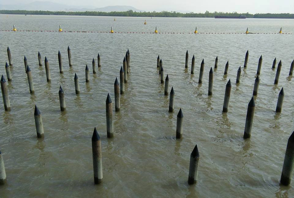 Tướng Phạm Đức Dũng là một trong bốn vị tướng chỉ huy quân đóng cọc trong trận Bạch Đằng. Ông quê thôn Đào Truyền (nay thuộc Đồn Xá, huyện Bình Lục, tỉnh Hà Nam). Cha ông vốn là thuộc tướng của Tiết độ sứ Khúc Hạo. Năm Nhâm Thìn (932), Phạm Đức Dũng trở thành bộ tướng của Tiết độ sức Dương Đình Nghệ, lập được nhiều công nên được Dương Đình Nghệ gả con gái tên Thúy Hoa.