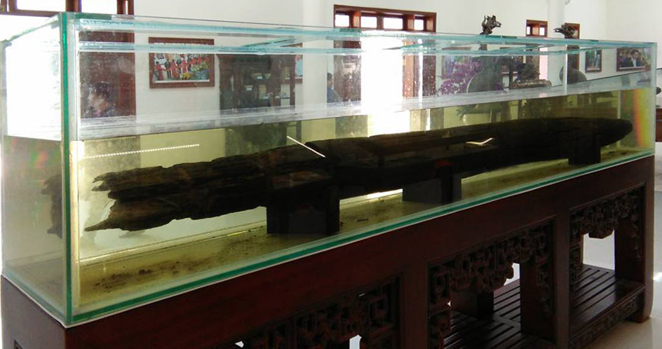 Hoàng Công Thái là người thông thái luồng lạch, con nước, ông còn tập hợp dân chài giỏi bơi lặn đến giúp xây dựng trận địa cọc. Trước khi chiến thuyền của quân Nam Hán đến sông Bạch Đằng, Hoàng Công Thái được phong làm tướng chỉ huy một đạo dân binh cùng Phạm Đức Dũng phục binh ở bên bờ tả ngạn dưới quyền chỉ huy của Dương Tam Kha.