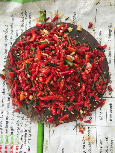 Ngày nay, khi hóa chất tràn lan, chúng ta lại quay lại dùng thảo mộc từ tỏi, gừng, ớt. Tuy nhiên, việc dùng các loại thảo mộc không dễ và an toàn như nhiều người tưởng. Pha loãng không xua đuổi được côn trùng, pha đặc có thể làm rau bị cháy, táp, bạc lá. Ngoài ra, không đảm bảo đúng thời gian cách ly, rau có nguy cơ tồn dư nitrat (NO3) cao - chất có thể gây ung thư.