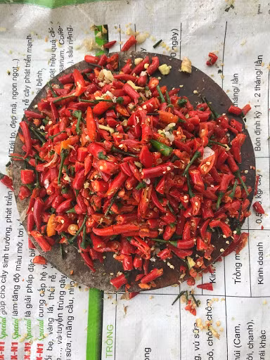 Ngày nay, khi hóa chất tràn lan, chúng ta lại quay lại dùng thảo mộc từ tỏi, gừng, ớt. Tuy nhiên, việc dùng các loại thảo mộc không dễ và an toàn như nhiều người tưởng. Pha loãng không xua đuổi được côn trùng, pha đặc có thể làm rau bị cháy, táp, bạc lá. Ngoài ra, không đảm bảo đúng thời gian cách ly, rau có nguy cơ tồn dư nitrat (NO3) cao - chất có thể gây ung thư.