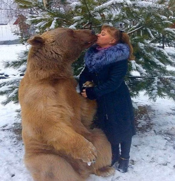 Tình cảm thắm thiết giữa người và gấu. Ảnh: ER.