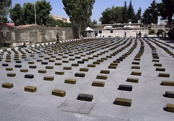 Được biết, quân đội Syria đã giành được thắng lợi trước các nhóm khủng bố trên nhiều mặt trận. Ảnh: FNA.