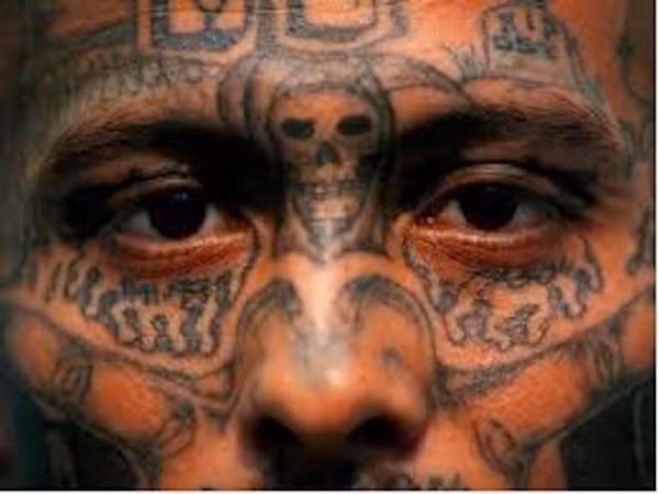 Khiep dam “luat rung” cua bang dang khet tieng MS-13-Hinh-9