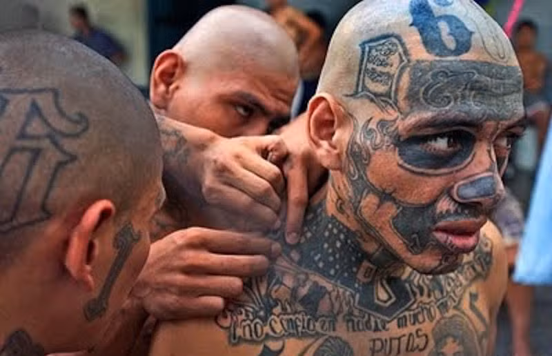 Khiep dam “luat rung” cua bang dang khet tieng MS-13-Hinh-4