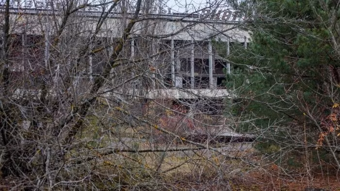 Và hình ảnh tòa nhà giữa rừng cây um tùm hiện tại. (Nguồn: ER)