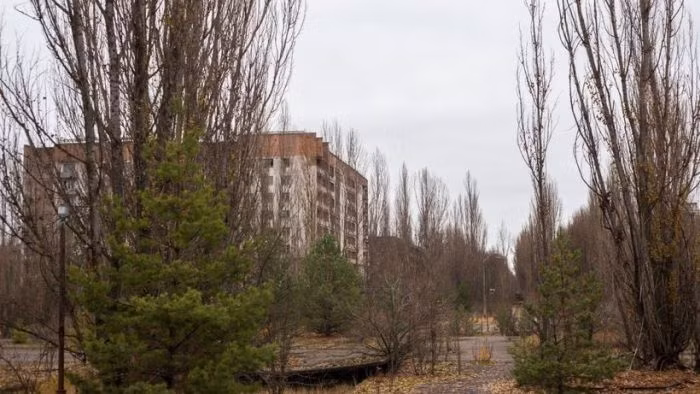 …và sau thảm họa. (Nguồn: ER)