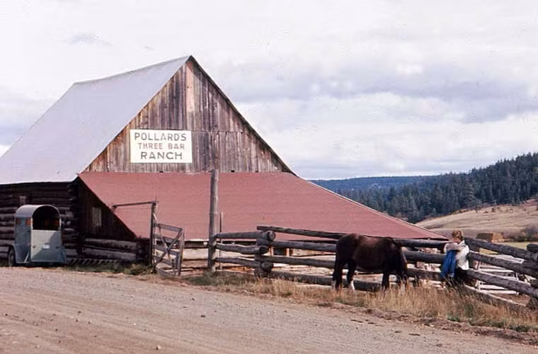 Khung cảnh yên bình ở một trang trại ở tỉnh British Columbia.