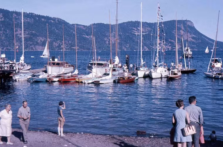 Thuyền buồm đỗ bên Vịnh Maple năm 1966.