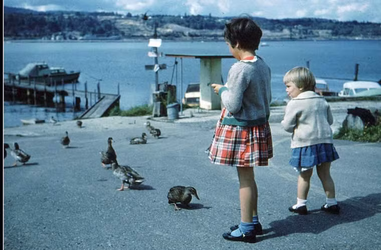 Hai cháu nhỏ cho vịt ăn bên bến tàu ở tỉnh British Columbia năm 1960.