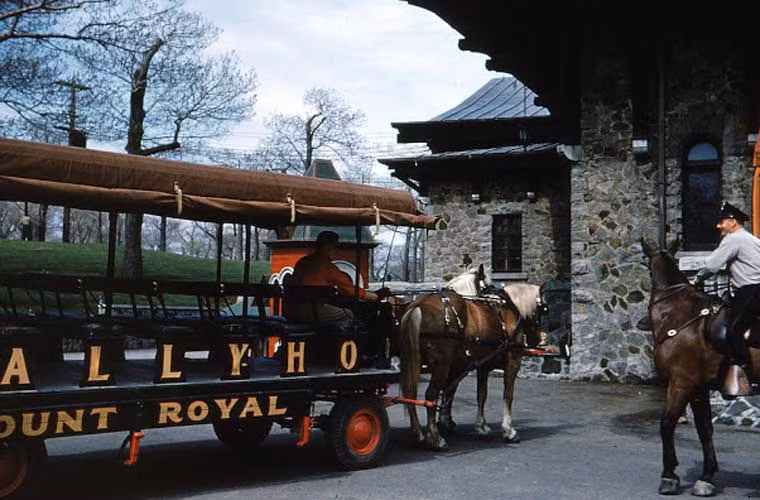 Xe ngựa chở khách ở Montreal năm 1960.