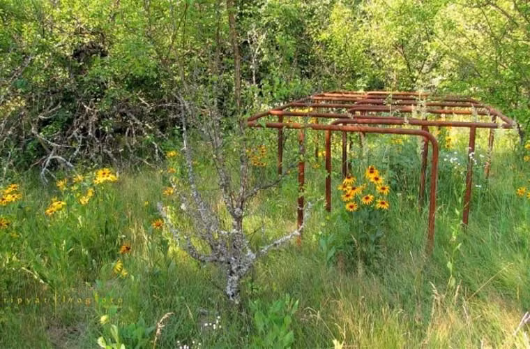 Một góc công viên giải trí nay trở thành bãi cỏ hoang.