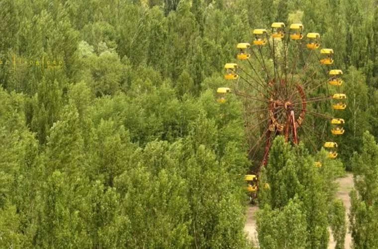 Bánh xe đu quay bị cây cối che khuất.