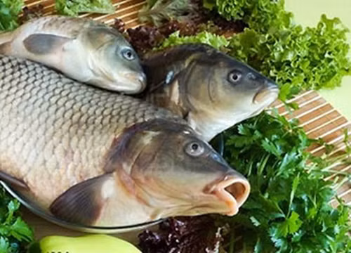 Nhiều người không biết rằng có một số loại cá chứa nhiều kim loại nặng và không thể ăn chúng, nếu cố chấp sẽ gặp họa, tự rước bệnh cho bản thân và gia đình. Có 5 loại cá càng ăn càng độc, bạn nên tránh xa, dù rẻ như cho cũng đừng mua nhé.