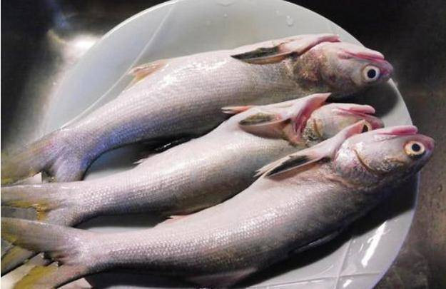 Cá giàu chất dinh dưỡng và có hương vị tinh tế, là thực phẩm phù hợp cho mọi lứa tuổi. Đặc biệt, cá rất giàu axit béo không bão hòa, bao gồm DHA, EPA, v.v. , giúp ích rất nhiều cho sự phát triển thần kinh của não bộ nên trẻ em, người cao tuổi nên ăn nhiều thịt cá. (Ảnh minh họa)