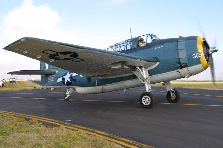 Máy bay được trang bị 3 súng máy, 13 ngư lôi hoặc lượng bom và rocket tương đương.Nguồn ảnh: Buckel-Fisher.