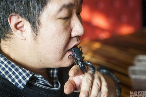 Trong bảy năm qua, Gia Thạch đã nuôi hàng chục độc vật và hàng ngày anh đều tiếp xúc thân mật. Số tiền anh kiếm được từ những con vật này cũng đủ khiến anh sống khá thoải mái.