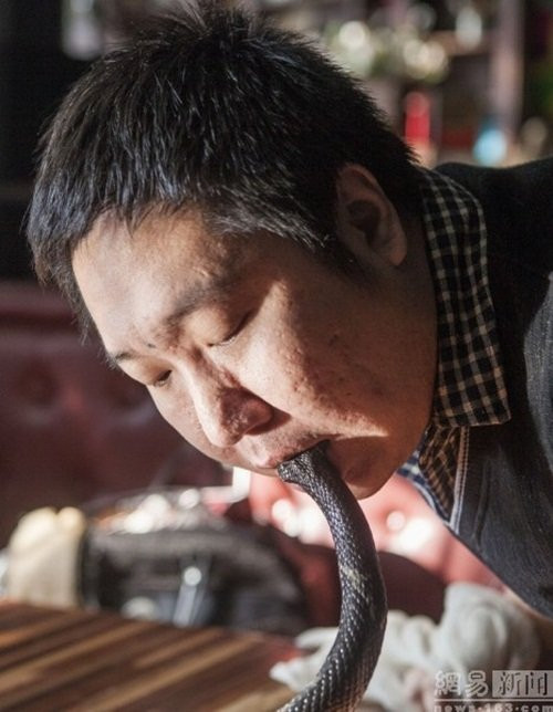 Trong bảy năm, Gia Thạch đã có hơn 1000 buổi biểu diễn lớn nhỏ, anh thừa nhận anh cũng bị độc thú của mình cắn vài trăm lần, có lần còn suýt mất mạng.