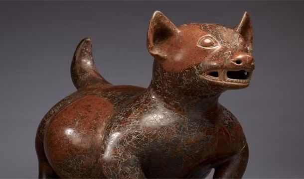 Thỉnh thoảng, người Aztec còn giết một con chó để tùy táng cùng người quá cố. Họ làm như vậy vì cho rằng con chó đó sẽ dẫn đường cho người đã khuất khi sang thế giới bên kia.