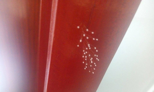 Theo Kinh điển nhà Phật, hoa Ưu Đàm chỉ xuất hiện khi có Đức Phật hay vị Kim Luân Vương hoặc Chuyển Luân Thánh xuất hiện.