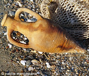 Nhiều bình gốm, vò hai quai được tìm thấy ở các xác tàu đắm.