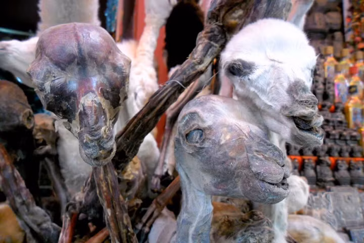 Khi đến chợ tà thuật kỳ dị Lomé, du khách sẽ nhìn thấy rất nhiều cửa hàng bày bán chân voi, tay tinh tinh, tim ngựa... vô cùng đáng sợ.