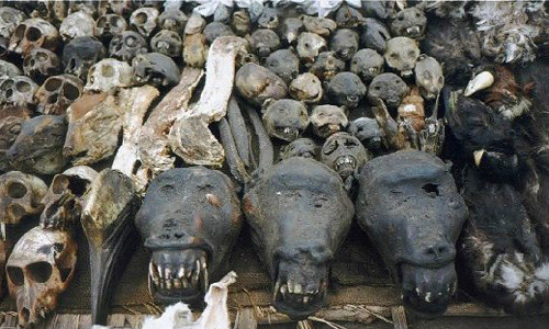 Chợ tà thuật Lomé ở Togo, Tây Phi là nơi bán những nguyên liệu dùng để chữa bệnh theo phương pháp truyền thống của các thầy lang hay thầy phù thủy.