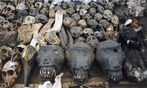 Chợ tà thuật Lomé ở Togo, Tây Phi là nơi bán những nguyên liệu dùng để chữa bệnh theo phương pháp truyền thống của các thầy lang hay thầy phù thủy.