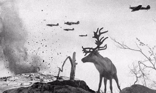 Hình ảnh gây ám ảnh 5 máy bay dội bom như mưa xuống lãnh thổ Liên Xô. Phía dưới là hình ảnh một con tuần lộc ngơ ngác ở khu rừng bị bắn phá trơ trụi năm 1941.