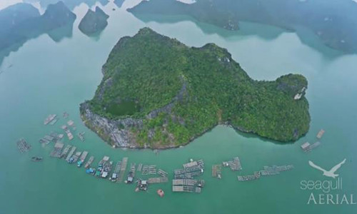 Tuyet dep vinh Ha Long trong video cua Business Insider