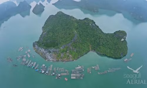 Tuyet dep vinh Ha Long trong video cua Business Insider