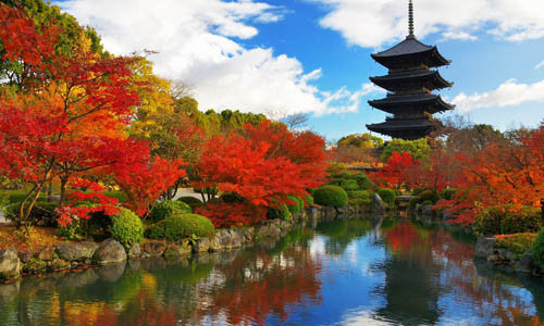 Đền To-ji là biểu tượng của thành phố Kyoto với chiều cao 57m - 5 tầng. Đây cũng là ngôi đền cao nhất Nhật Bản được xây dựng vào những năm 700. To-ji là một trong những điểm đến hút khách ở Kyoto - thành phố ngàn đền thờ, ngôi chùa.