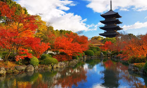 Đền To-ji là biểu tượng của thành phố Kyoto với chiều cao 57m - 5 tầng. Đây cũng là ngôi đền cao nhất Nhật Bản được xây dựng vào những năm 700. To-ji là một trong những điểm đến hút khách ở Kyoto - thành phố ngàn đền thờ, ngôi chùa.