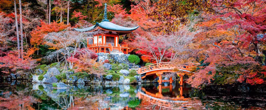 Daigoji là ngôi đền Phật giáo nằm ở miền Đông Nam Kyoto, Nhật Bản. Đây là ngôi đền lâu đời nhất ở Kyoto. Khung cảnh tuyệt đẹp ở ngôi đền Daigoji vào mùa thu và mùa xuân khiến du khách choáng ngợp.