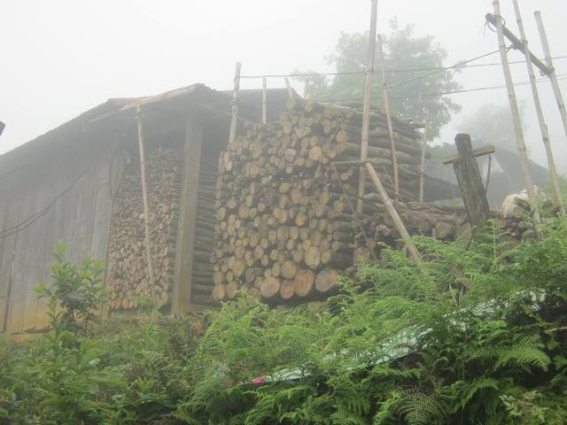 Những đống củi hứa hôn là thước đo nhân cách và tâm hồn của người phụ nữ Xê Đăng.