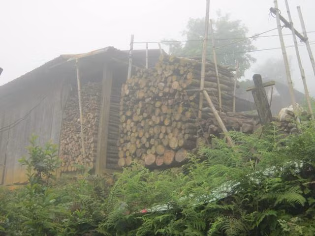 Những đống củi hứa hôn là thước đo nhân cách và tâm hồn của người phụ nữ Xê Đăng.