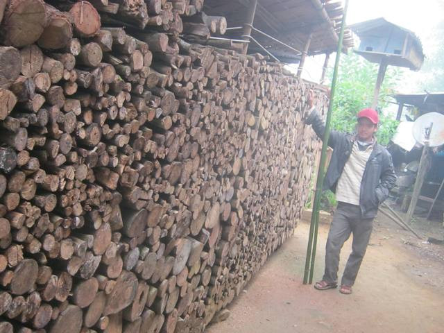 Đống củi nào càng to càng thể hiện được tình yêu thắm thiết chung thủy của đôi trai gái.