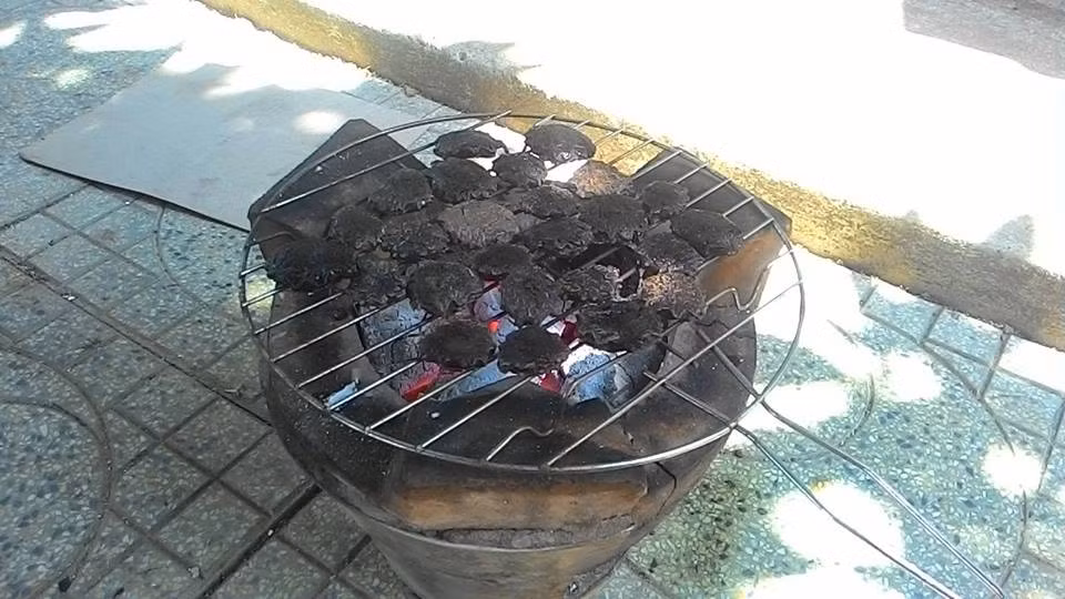  Bài thuốc từ hạt gấc chữa bệnh viêm xoang: Cách làm bài thuốc này rất đơn giản. Bạn hãy lấy chừng 20 - 25 hạt gấc đem nướng tới khi đen phần vỏ, hạt gấc bên trong chín mềm. Sau đó, bạn đem toàn bộ số hạt gấc lấy cả phần vỏ hạt cháy xém giã nhỏ bằng cối. Ảnh: Tin tức VN.