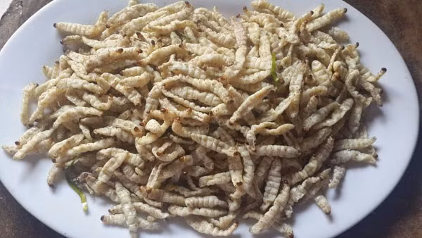 Sâu măng xào rất “đưa” cơm vì có hương thơm đặc trưng, vị ngọt béo, ngầy ngậy và giòn tan, khiến bạn ăn mãi không chán. Ảnh: Timeoutvietnam.