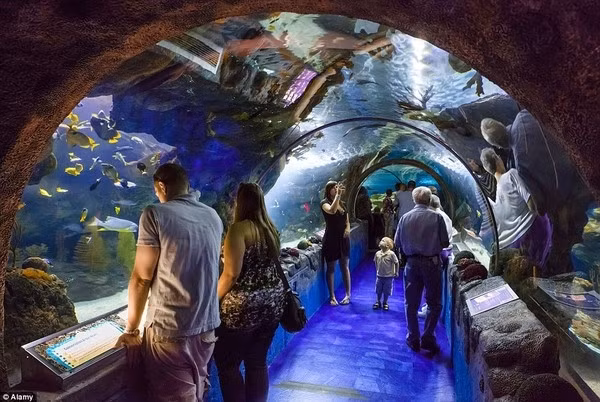 Ở những nơi này thì buffe, những quán đồ ăn nhanh là lựa chọn tuyệt vời để ăn ngon ngày 20/10 sau khi dạo chơi mệt mỏi. Ảnh: Dân Việt.