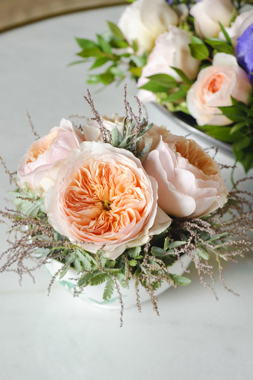 Cận cảnh bông hoa hồng Juliet nổi tiếng và đắt đỏ. Nguồn ảnh: David Autin Garden.