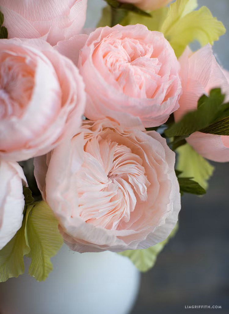 Ông tự tay lai giống, tưới nước, chăm bón cho từng bông hoa tuyệt đẹp này.