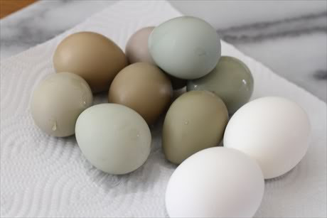 Bài thuốc bồi bổ can thận, dùng chữa bệnh liệt dương do can thận hư: Hãy dùng 4 quả trứng chim trĩ, luộc chín, bóc vỏ, sau đó cho 15g câu kỷ tử, 15g thỏ ty tử vào nồi cùng 4 quả trứng trĩ đã bóc vỏ, thêm 400ml nước, đun sôi trong 20 phút.