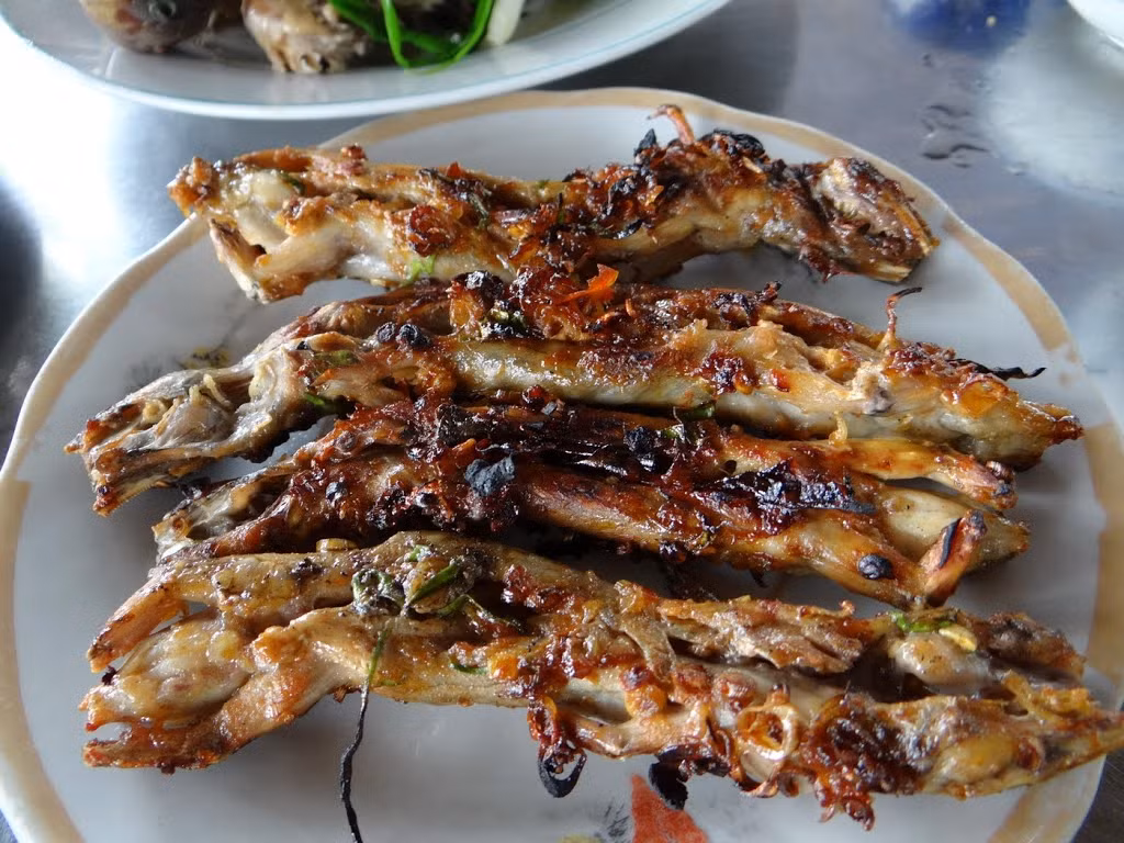 Rắn mối có tên khoa học là Mabuya multifasciata Kuhl. Đây là loài bò sát cỡ nhỏ, sống tự nhiên, thường ăn kiến, cào cào, châu chấu, sâu bọ, côn trùng...