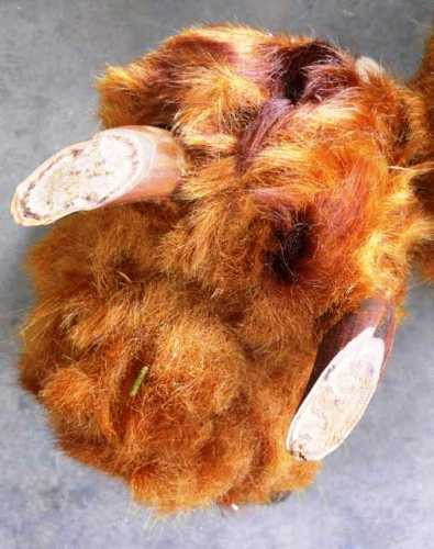 Ngoài ra, khi bị chảy máu, bạn có thể dùng lông cu li để cầm máu rất nhanh. Ảnh: Autofun.