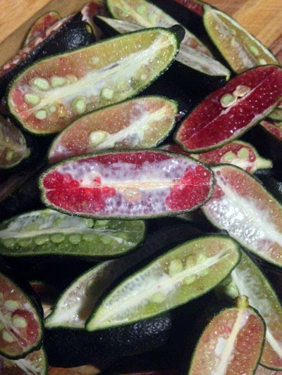 Không chỉ được dùng trong nấu nướng, quả chanh ngón tay còn được dùng trong các loại bánh, mứt, nước sốt, rượu và cocktail và một số đồ uống giúp thanh lọc, làm mát cơ thể. Ảnh: Cây thuốc.