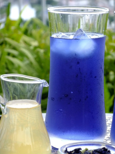 Trà hoa bông biếc sẽ giúp cải thiện sức khỏe tế bào bằng cách ngăn chặn các tác động có hại của các gốc tự do gây ra.