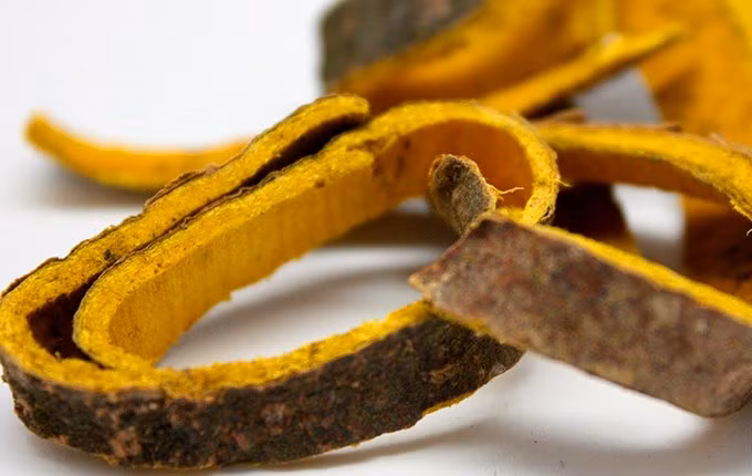 Người ta thường dùng bộ phận của hoa sữa trị bệnh nhiều nhất là phần vỏ. Vỏ cây hoa sữa phơi khô tán mịn sắc lấy nước uống, ngày uống 1-3g có tác dụng thanh nhiệt, kích thích tiêu hóa.